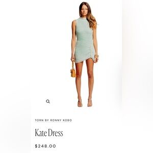BNNW Torn by Ronny Kobo Kate Dress